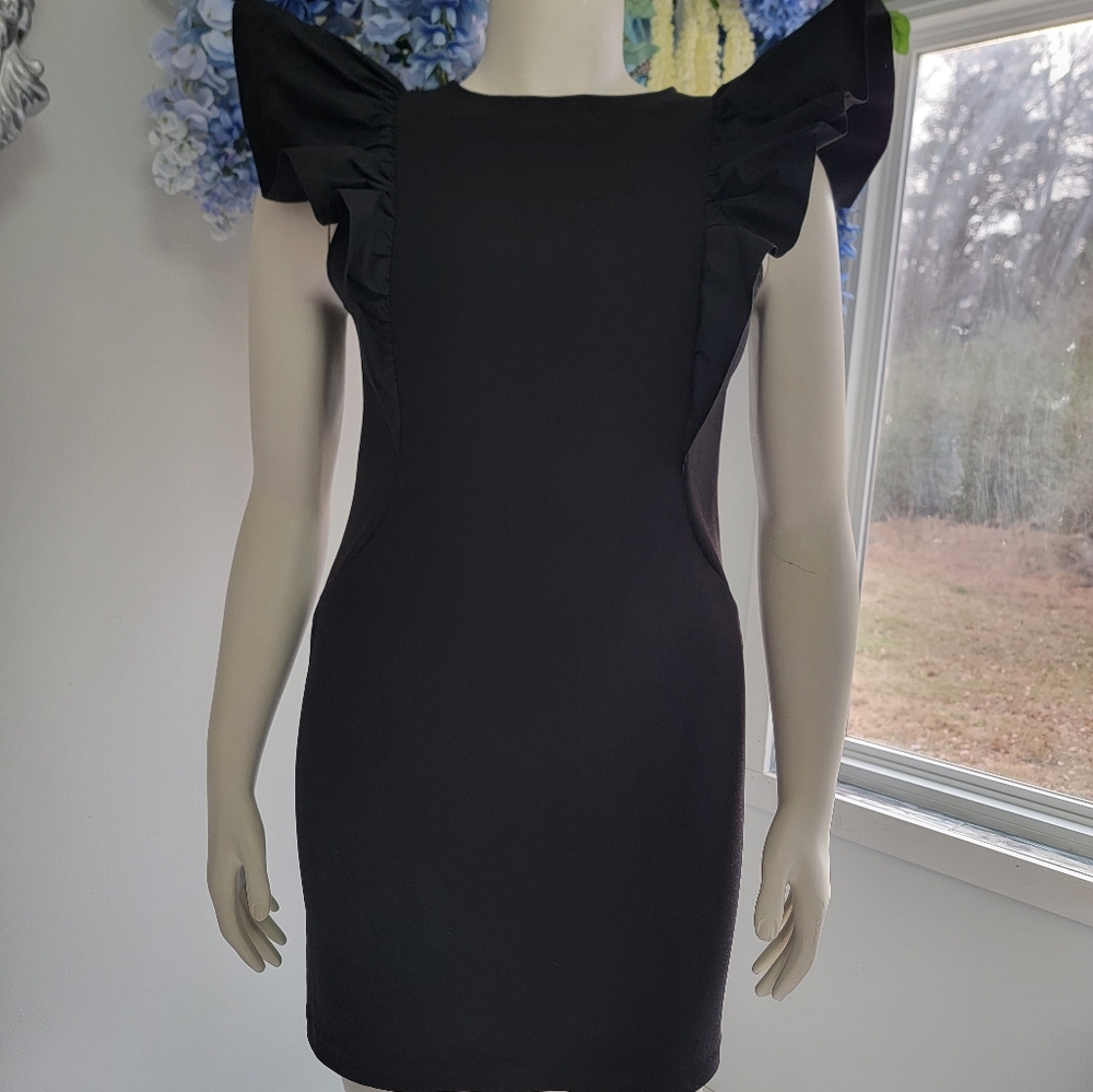 Express Ruffle Sleeve Women Coctail Dress Size S
